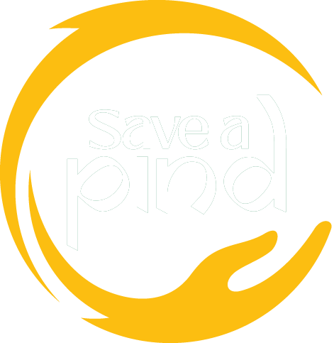 Save A Pind